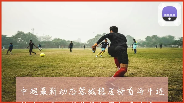 中超最新动态蓉城稳居榜首海牛连胜冲击前列海港紧盯保级区边缘